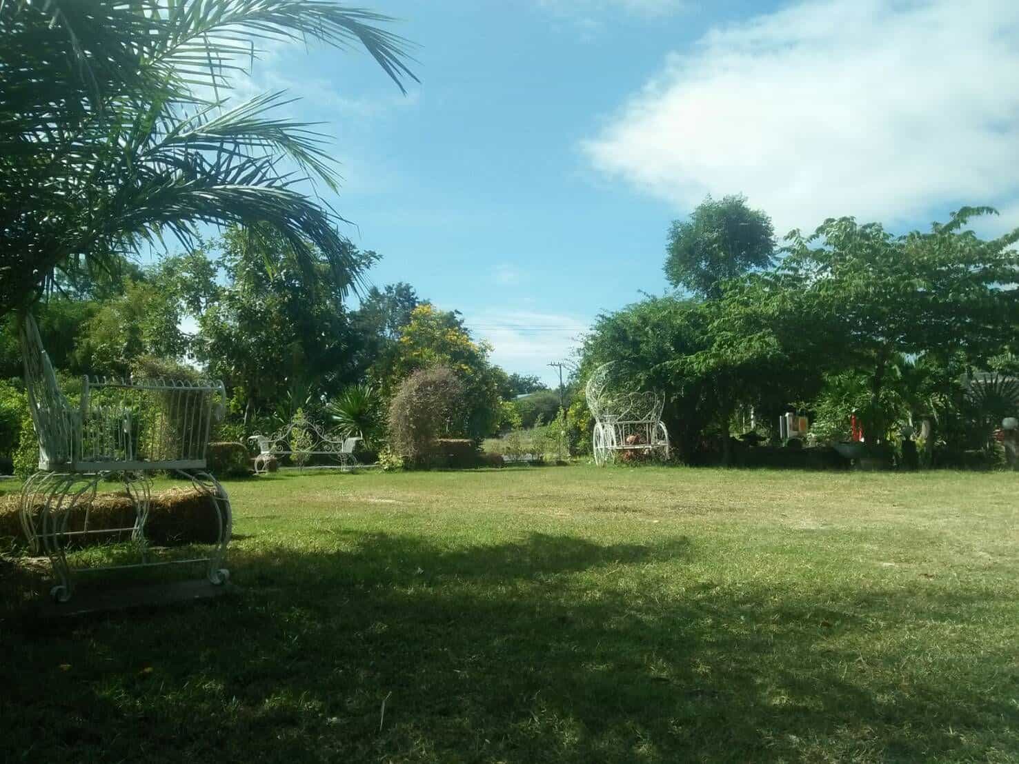 1637724572438-dgwqinunac.jpg